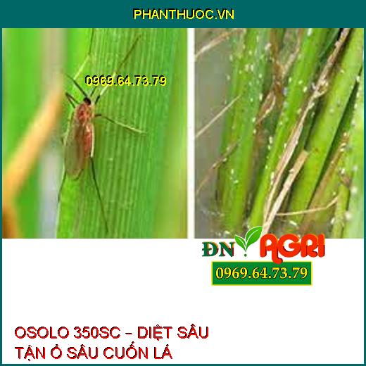 OSOLO 350SC – DIỆT SÂU TẬN Ổ SÂU CUỐN LÁ