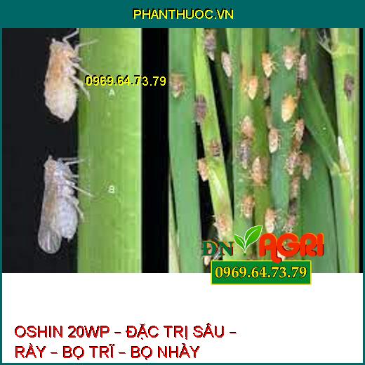 OSHIN 20WP – ĐẶC TRỊ SÂU – RẦY – BỌ TRĨ – BỌ NHẢY