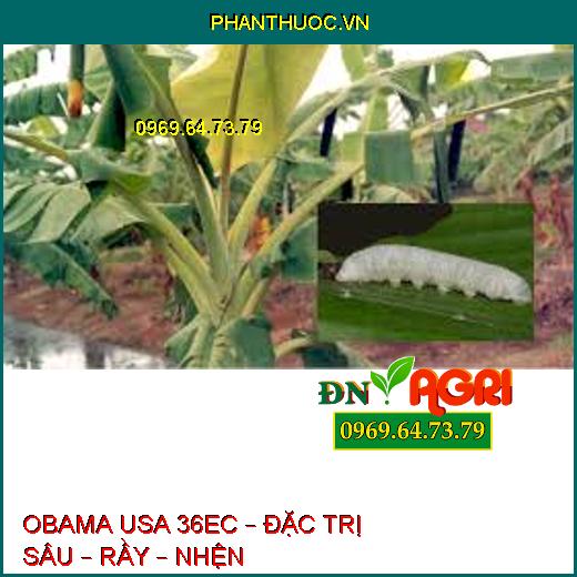 OBAMA USA 36EC – ĐẶC TRỊ SÂU – RẦY – NHỆN