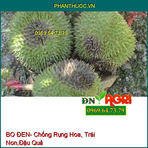 BO ĐEN- Chống Rụng Hoa, Trái Non,Đậu Quả