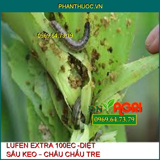 LUFEN EXTRA 100EC -DIỆT SÂU KEO – CHÂU CHẤU TRE