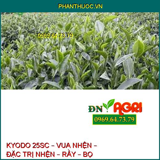 KYODO 25SC – VUA NHỆN – ĐẶC TRỊ NHỆN – RẦY – BỌ TRĨ