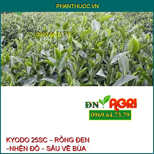 KYODO 25SC – RỒNG ĐEN –NHỆN ĐỎ – SÂU VẼ BÙA