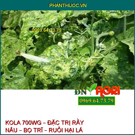 KOLA 700WG – ĐẶC TRỊ RẦY NÂU – BỌ TRĨ – RUỒI HẠI LÁ