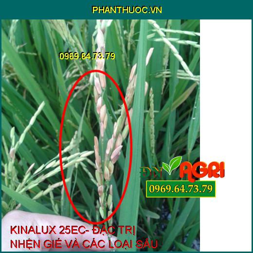 KINALUX 25EC- ĐẶC TRỊ NHỆN GIÉ VÀ CÁC LOẠI SÂU