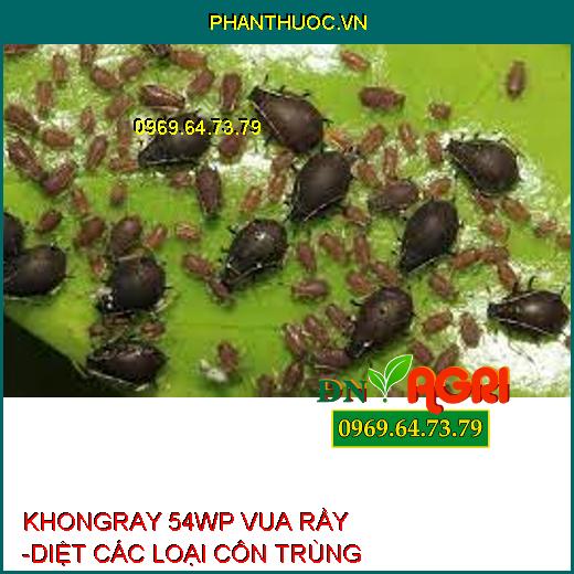 KHONGRAY 54WP VUA RẦY -DIỆT CÁC LOẠI CÔN TRÙNG