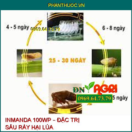 INMANDA 100WP – ĐẶC TRỊ SÂU RẦY HẠI LÚA