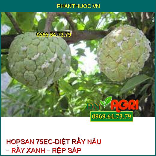 HOPSAN 75EC-DIỆT RẦY NÂU – RẦY XANH – RỆP SÁP