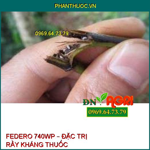 FEDERO 740WP – ĐẶC TRỊ RẦY KHÁNG THUỐC