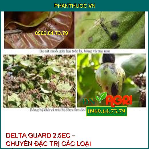 DELTA GUARD 2.5EC – CHUYÊN ĐẶC TRỊ CÁC LOẠI SÂU