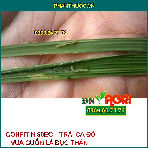 CONFITIN 90EC – TRÁI CÀ ĐỎ – VUA CUỐN LÁ ĐỤC THÂN