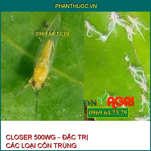 CLOSER 500WG – ĐẶC TRỊ CÁC LOẠI CÔN TRÙNG