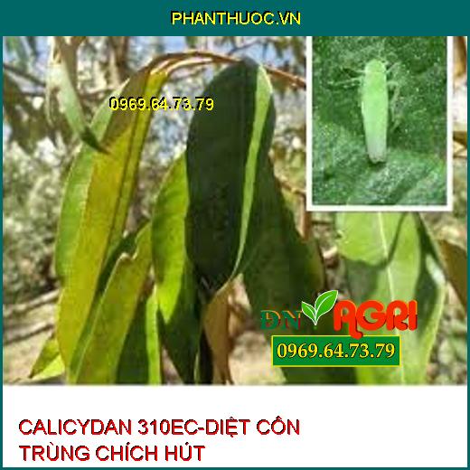 CALICYDAN 310EC-DIỆT CÔN TRÙNG CHÍCH HÚT