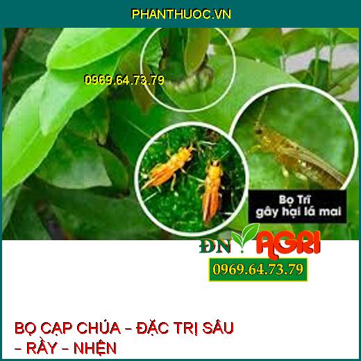 BỌ CẠP CHÚA – ĐẶC TRỊ SÂU – RẦY – NHỆN