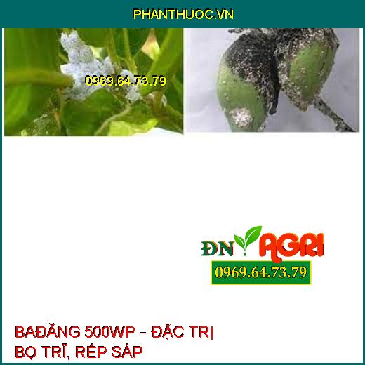 BAĐĂNG 500WP – ĐẶC TRỊ BỌ TRĨ, RẾP SÁP