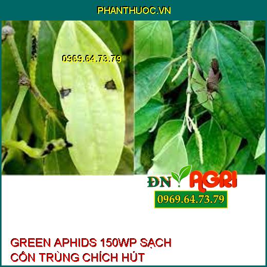 GREEN APHIDS 150WP SẠCH CÔN TRÙNG CHÍCH HÚT