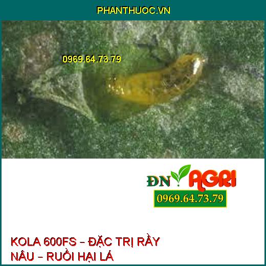 KOLA 600FS – ĐẶC TRỊ RẦY NÂU – RUỒI HẠI LÁ