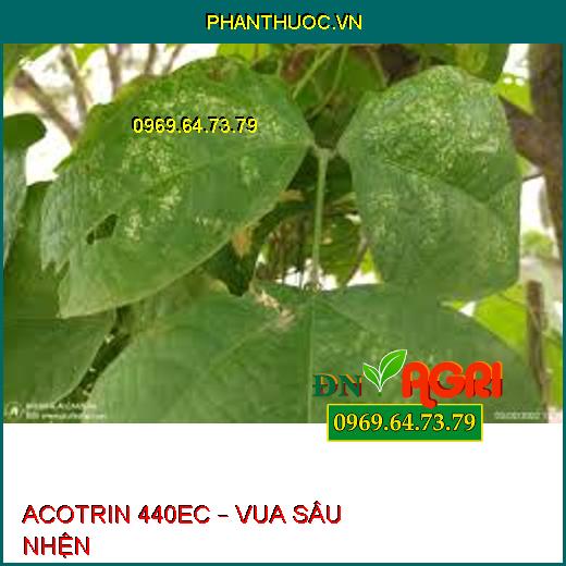 ACOTRIN 440EC – VUA SÂU NHỆN