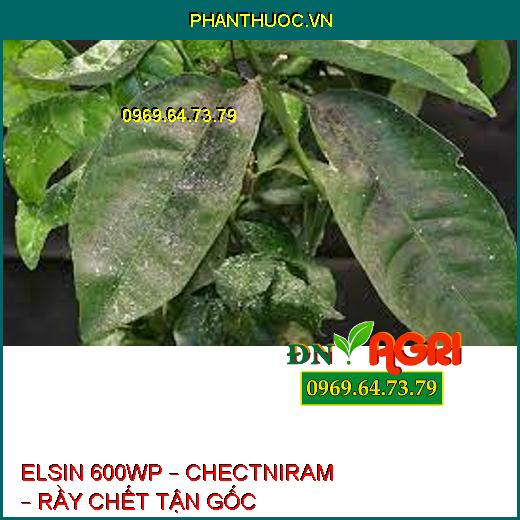 ELSIN 600WP – CHECTNIRAM – RẦY CHẾT TẬN GỐC