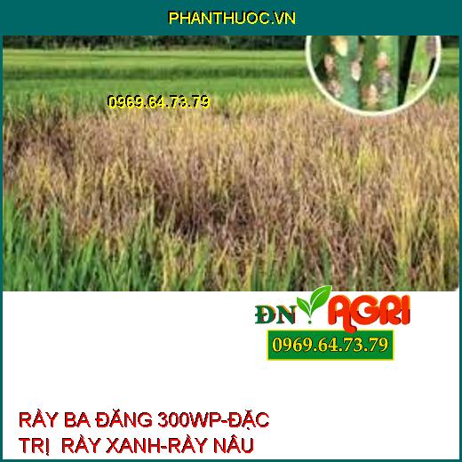 RẦY BA ĐĂNG 300WP-ĐẶC TRỊ RẦY XANH-RẦY NÂU