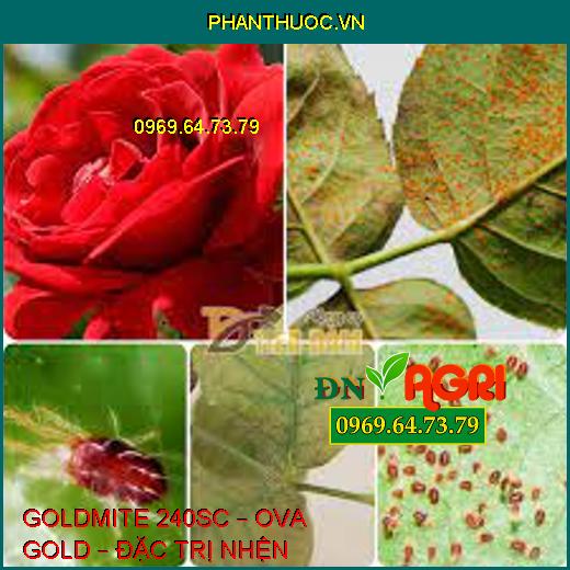 GOLDMITE 240SC – OVA GOLD – ĐẶC TRỊ NHỆN