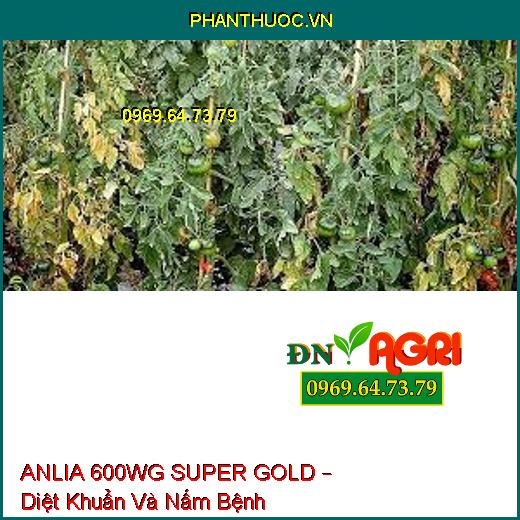 ANLIA 600WG SUPER GOLD – Diệt Khuẩn Và Nấm Bệnh