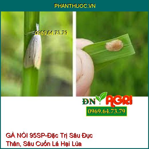 GÀ NÒI 95SP-Đặc Trị Sâu Đục Thân, Sâu Cuốn Lá Hại Lúa