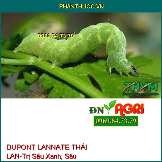 DUPONT LANNATE THÁI LAN-Trị Sâu Xanh, Sâu Khoang,Bọ Trĩ