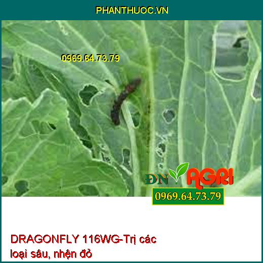 DRAGONFLY 116WG-Trị các loại sâu, nhện đỏ