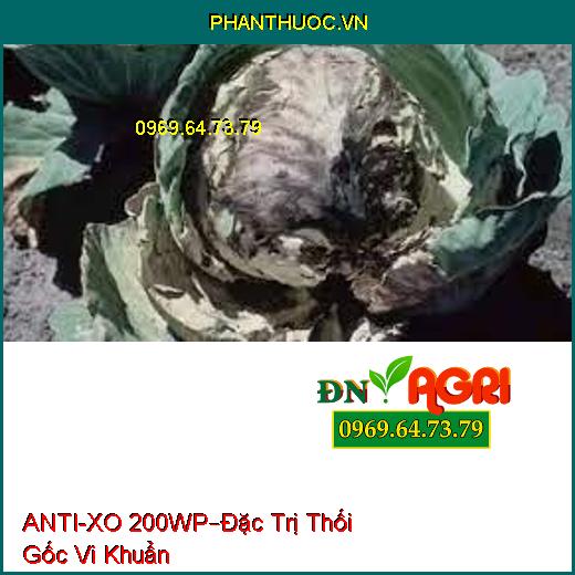 ANTI-XO 200WP–Đặc Trị Thối Gốc Vi Khuẩn