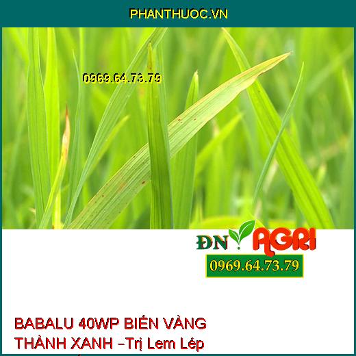 BABALU 40WP BIẾN VÀNG THÀNH XANH –Trị Lem Lép Hạt,Đạo Ôn