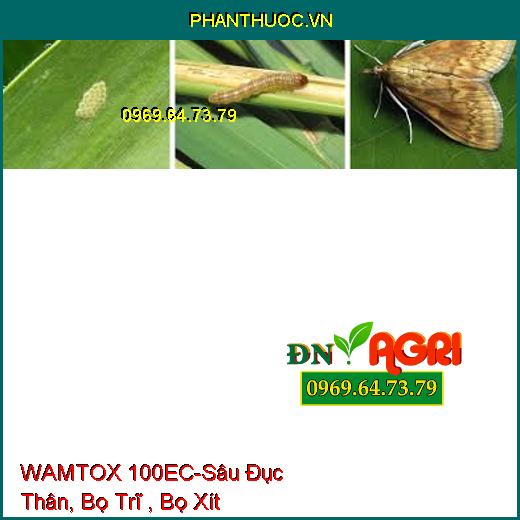 WAMTOX 100EC-Sâu Đục Thân, Bọ Trĩ , Bọ Xít