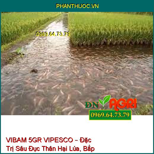 VIBAM 5GR VIPESCO – Đặc Trị Sâu Đục Thân Hại Lúa, Bắp