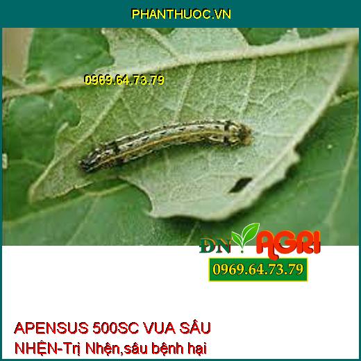 APENSUS 500SC VUA SÂU NHỆN-Trị Nhện,sâu bệnh hại