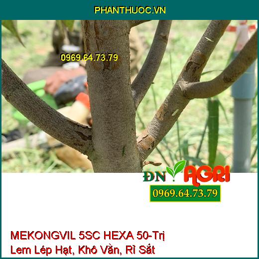 MEKONGVIL 5SC HEXA 50-Trị Lem Lép Hạt, Khô Vằn, Rỉ Sắt