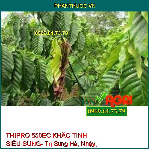 THIPRO 550EC KHẮC TINH SIÊU SÙNG- Trị Sùng Hà, Nhậy, Sâu