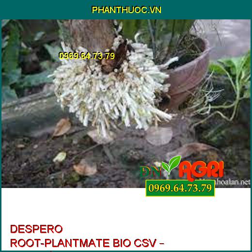 DESPERO ROOT-PLANTMATE BIO CSV – Đâm Chồi,Nuôi Quả