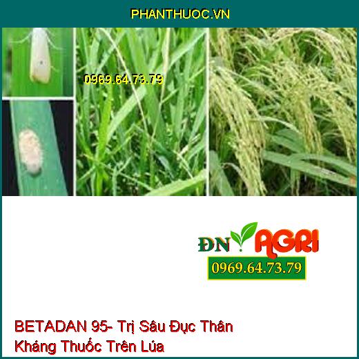 BETADAN 95- Trị Sâu Đục Thân Kháng Thuốc Trên Lúa