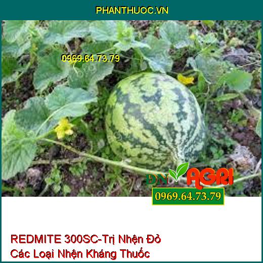 REDMITE 300SC-Trị Nhện Đỏ Các Loại Nhện Kháng Thuốc