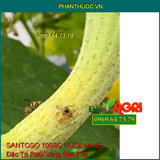 SANTOSO 100SC RUỒI VÀNG- Đặc Trị Ruồi Vàng Đục Trái