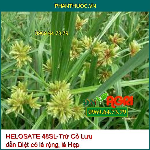 HELOSATE 48SL-Trừ Cỏ Lưu dẫn Diệt cỏ lá rộng, lá Hẹp