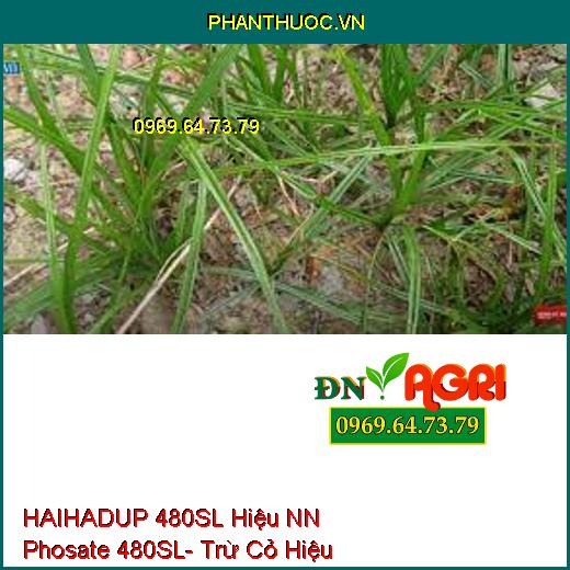 HAIHADUP 480SL Hiệu NN Phosate 480SL- Trừ Cỏ Hiệu Qủa