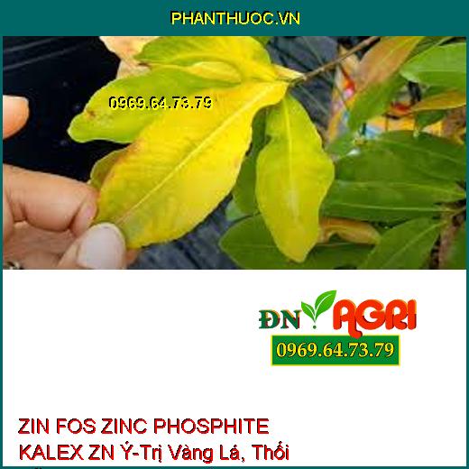 ZIN FOS ZINC PHOSPHITE KALEX ZN Ý-Trị Vàng Lá, Thối Rễ