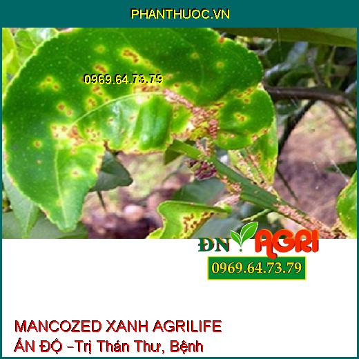 MANCOZED XANH AGRILIFE ẤN ĐỘ –Trị Thán Thư, Bệnh Ghẻ