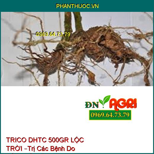 TRICO DHTC 500GR LỘC TRỜI –Trị Các Bệnh Do Nấm,Thối Rễ