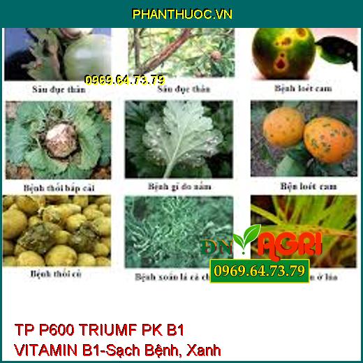 TP P600 TRIUMF PK B1 VITAMIN B1-Sạch Bệnh, Xanh Cây