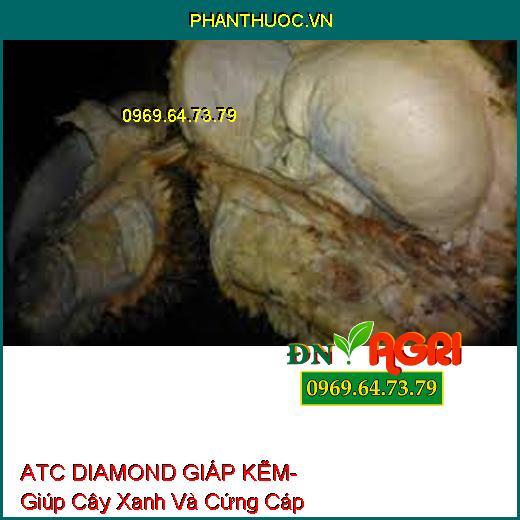 ATC DIAMOND GIÁP KẼM- Giúp Cây Xanh Và Cứng Cáp