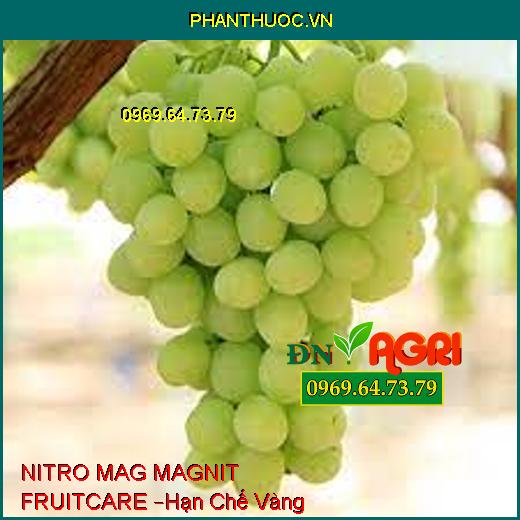 NITRO MAG MAGNIT FRUITCARE –Hạn Chế Vàng Lá,Rụng Lá