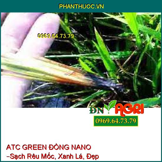 ATC GREEN ĐỒNG NANO –Sạch Rêu Mốc, Xanh Lá, Đẹp Trái