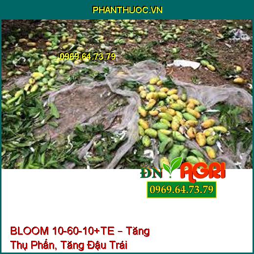 BLOOM 10-60-10+TE – Tăng Thụ Phấn, Tăng Đậu Trái